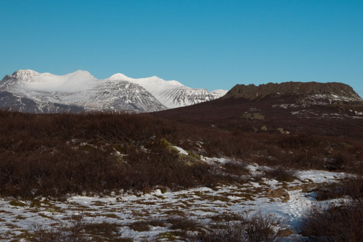 The landscape around Eldborg crater in West Iceland