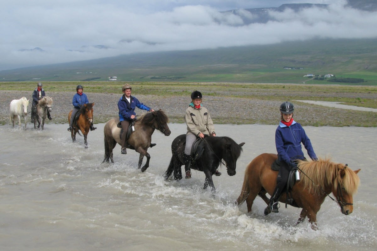 Icelandic horse riding in North Iceland